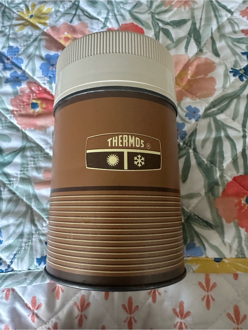Thermos Stainless Food Jar